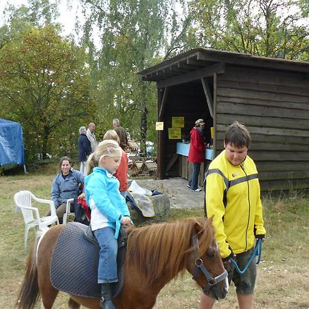 Holiday Home In Wietzendorf In The L Neburg Heath With A View Of The Countryside Eksteriør billede