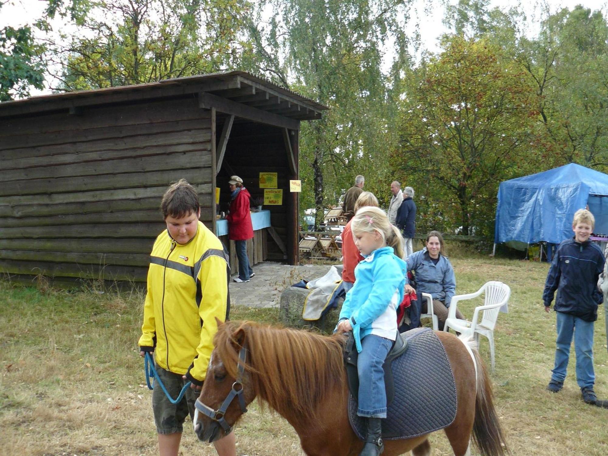 Holiday Home In Wietzendorf In The L Neburg Heath With A View Of The Countryside Eksteriør billede